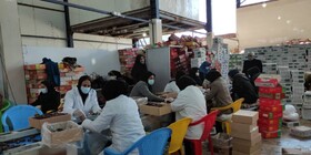 ۵۰ هزار تن خرما در سردخانه های بم موجود است