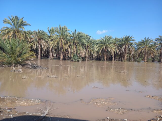 بازدی وزیرکشور و هیأت همراه از محلههای شهرستان قلعهگنج