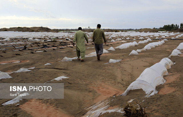 سیل در جنوب استان کرمان