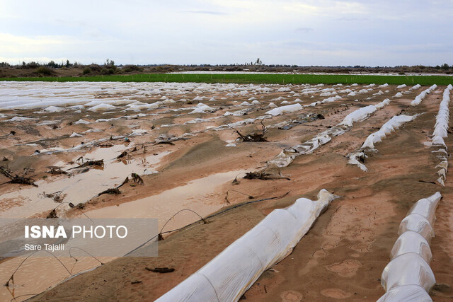 سیل در جنوب استان کرمان