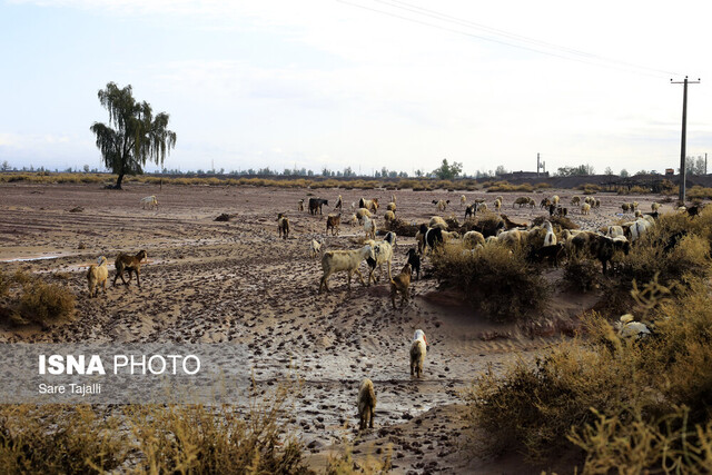 سیل در جنوب استان کرمان