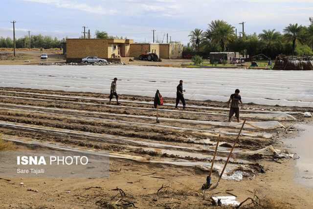 سیل در جنوب استان کرمان