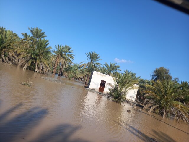 باز باران... 5
