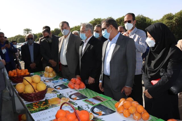 سومین جشنواره ملی مرکبات جیرفت برگزار شد