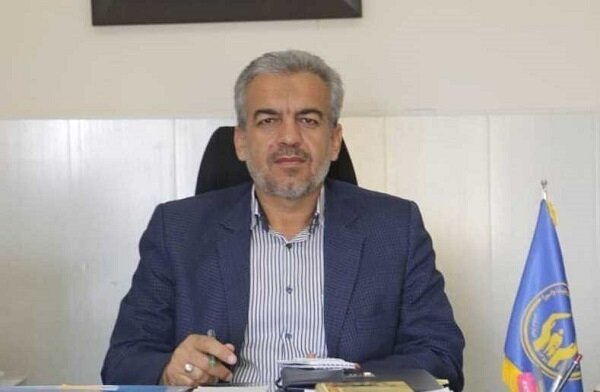 عکس تزیینی است. اجرای طرح اطعام مهدوی در کرمان