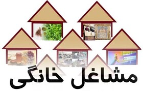 اجرای طرح ملی توسعه مشاغل خانگی در کرمان