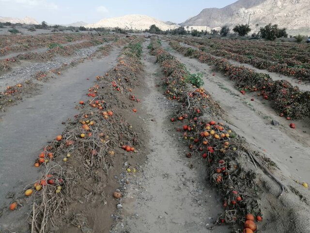 مصیبتهای بر زمین مانده سیل در منوجان کرمان 2