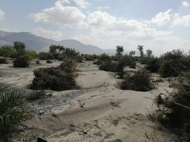 مصیبتهای بر زمین مانده سیل در منوجان کرمان 6
