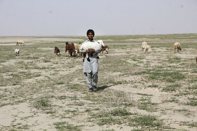 زنگوله حیات در جازموریان به صدا درآمده است