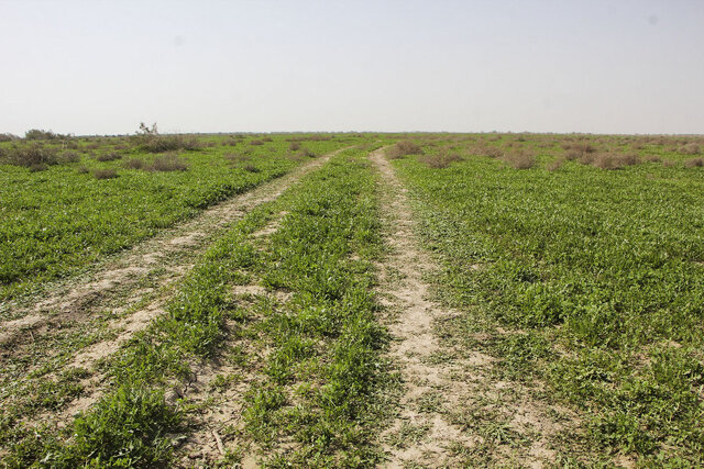 زنگوله حیات در جازموریان به صدا درآمده است