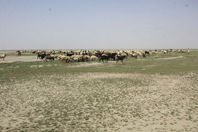 زنگوله حیات در جازموریان به صدا درآمده است