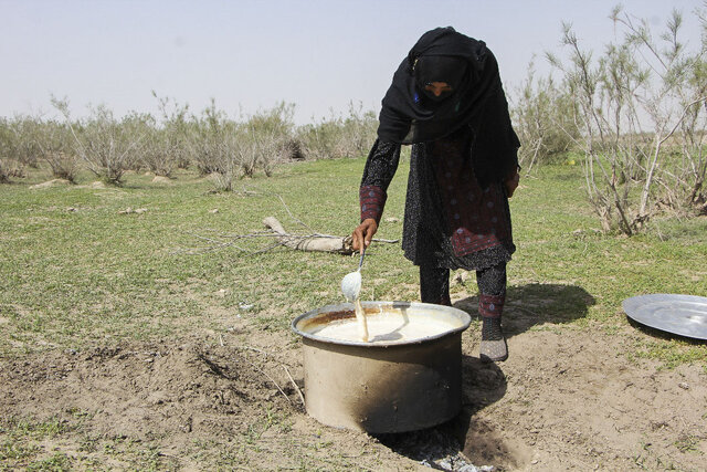 زنگوله حیات در جازموریان به صدا درآمده است زنگوله حیات در جازموریان به صدا درآمده است