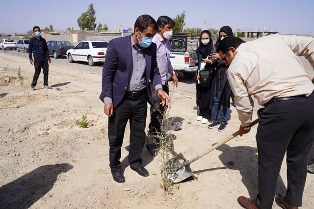 درختانی برای دو خبرنگار که جانشان را برای محیط زیست دادند