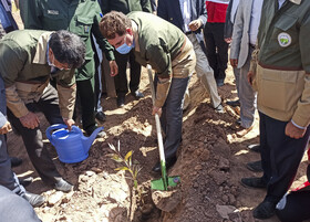 مراسم روز درختکاری در کرمان