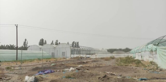 خسارت ۲ میلیارد تومانی طوفان به سازهها و محصولات گلخانهای بم