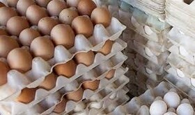 کشف تخم مرغ‌های انبارشده در کرمان