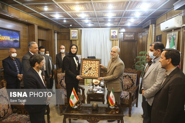  سفر وزیر فرهنگ لبنان به کرمان