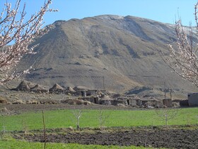 تشدید برخورد با متخلفان برگزاری تورهای گردشگری غیرمجاز در راین