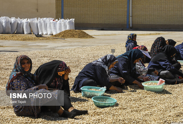 ترمینال ضبط پسته-کرمان