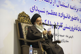 ویژه برنامه استقبال از دهه فجر در کرمان
