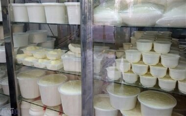 شیر و ماست و پنیر از ۱۷ مهر ارزان می‌شود