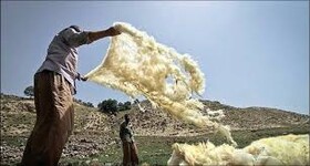 "پشم" تولیدی کرمانشاه سامان می‌گیرد