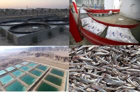 زمین باشد، احداث سکوی صادرات آبزیان در کرمانشاه آغاز می‌شود