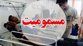 تشریح آخرین وضعیت روستای "شیخ‌صله" از زبان فرماندار