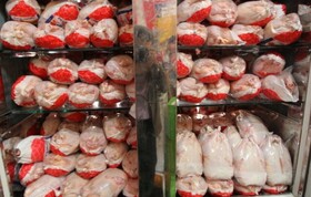 توزیع "مرغ منجمد" قیمت مرغ را در بازار کاهش داد