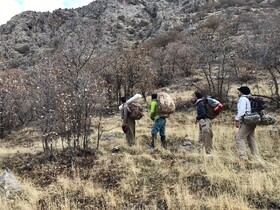 کوهنوردانی که ناجی جان کل و بزهای "شاهو" شده‌اند!
