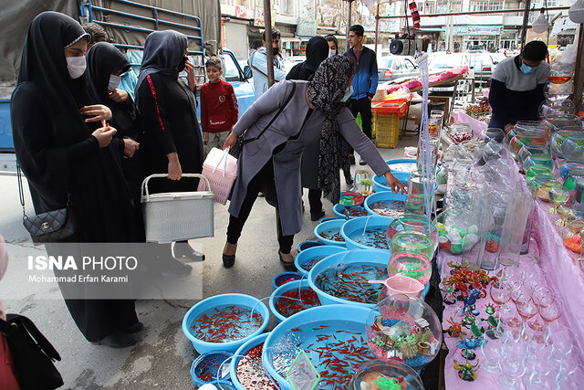 ماهی قرمز؛ پای ثابت سفره هفت‌سین ایرانیان