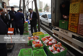 ۵۰ تن مرغ منجمد در کرمانشاه توزیع می شود/ ۱۰۵ تن روغن ذخیره داریم