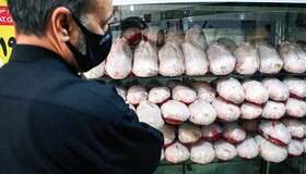 بازار مرغ در کرمانشاه آرام می‌گیرد؟