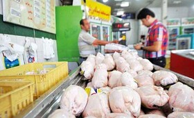 توزیع ۲۰۰ تن مرغ منجمد در کرمانشاه/ توزیع ادامه دارد
