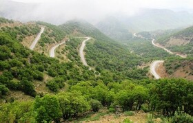 260 دیده‌بان از منابع طبیعی کرمانشاه در برابر حریق حفاظت می‌کنند