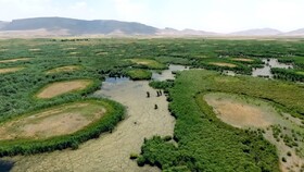"هشیلان" تا 20 روز آینده خشک می‌شود