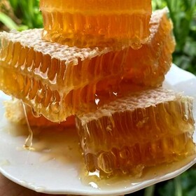 برآورد تولید 6000 تن عسل در کرمانشاه