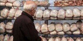 داستان تکراری کمبود و سپس گرانی مرغ در کرمانشاه