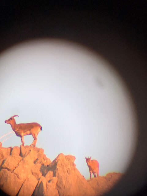 در پناهِ انسان...