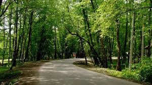 عکس تزیینی است ورود سرمایه گذار جدید به پارک جنگلی"سراب قنبر"/ اختصاص اعتبار 44 میلیاردی برای تامین زیرساختها