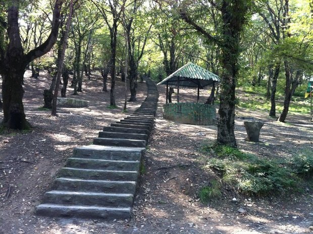 بهره‌برداری از ۱۱ پارک جنگلی کرمانشاه به بخش خصوصی واگذار می‌شود