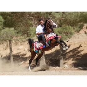 جشنواره‌ای برای اسب اصیل کُرد در بنای باستانی آناهیتا