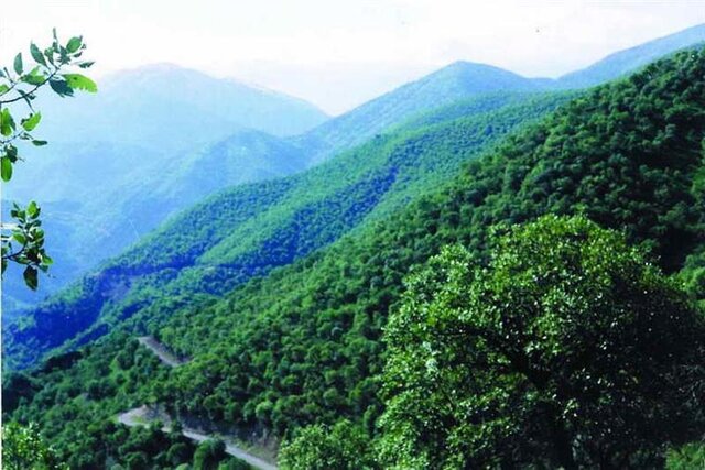 بوزین و مره‌خیل تا سلیمانیه عراق می‌تواند "ذخیره‌گاه زیست کره" شود