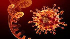 "اُمیکرون" سرماخوردگی نیست/ هم درگیری ریه دارد، هم مرگ و میر