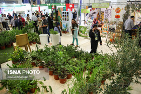 آغاز به کار نمایشگاه سراسری گل، گیاه و گیاهان دارویی در کرمانشاه