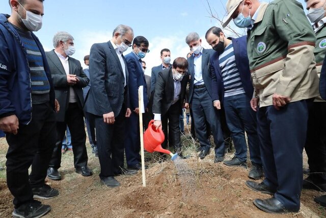 عکس از آرشیو جنگلهای زاگرس ریههای کشور هستند