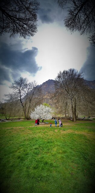 استقبال گردشگران از هفت سین"گل لوتوس" در محوطه جهانی بیستون