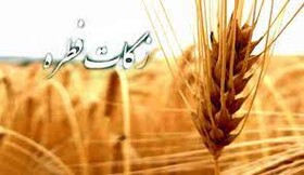 فطریه هر کرمانشاهی 40 هزار تومان است