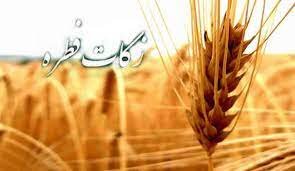 فطریه هر کرمانشاهی 40 هزار تومان است