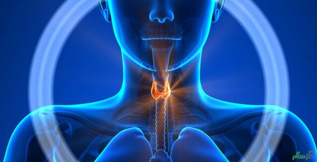 بهترین رژیم غذایی برای مبتلایان به کم کاری تیروئید بهترین رژیم غذایی برای مبتلایان به کم کاری تیروئید